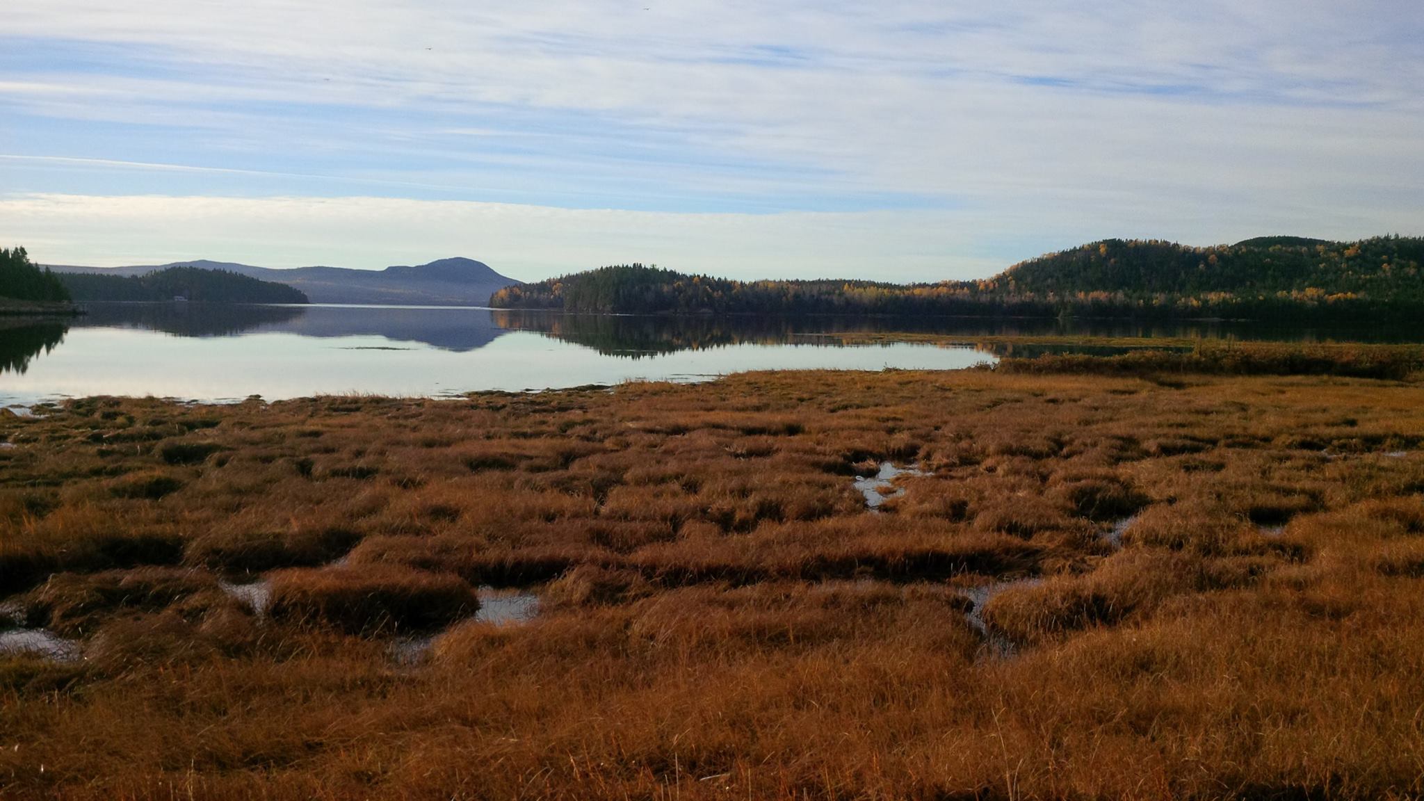 Sights of Springdale Town of Springdale